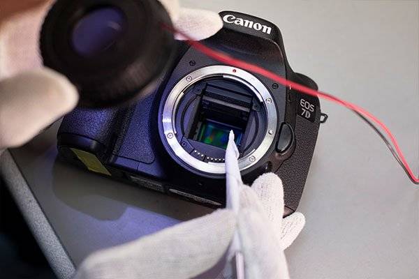 A specialist cleaning the sensor on a Canon EOS camera